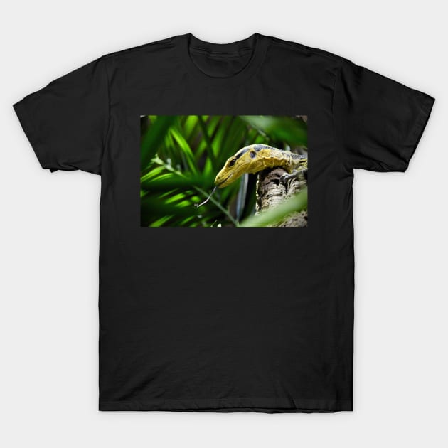 Monitor 2 / Swiss Artwork Photography T-Shirt by RaphaelWolf